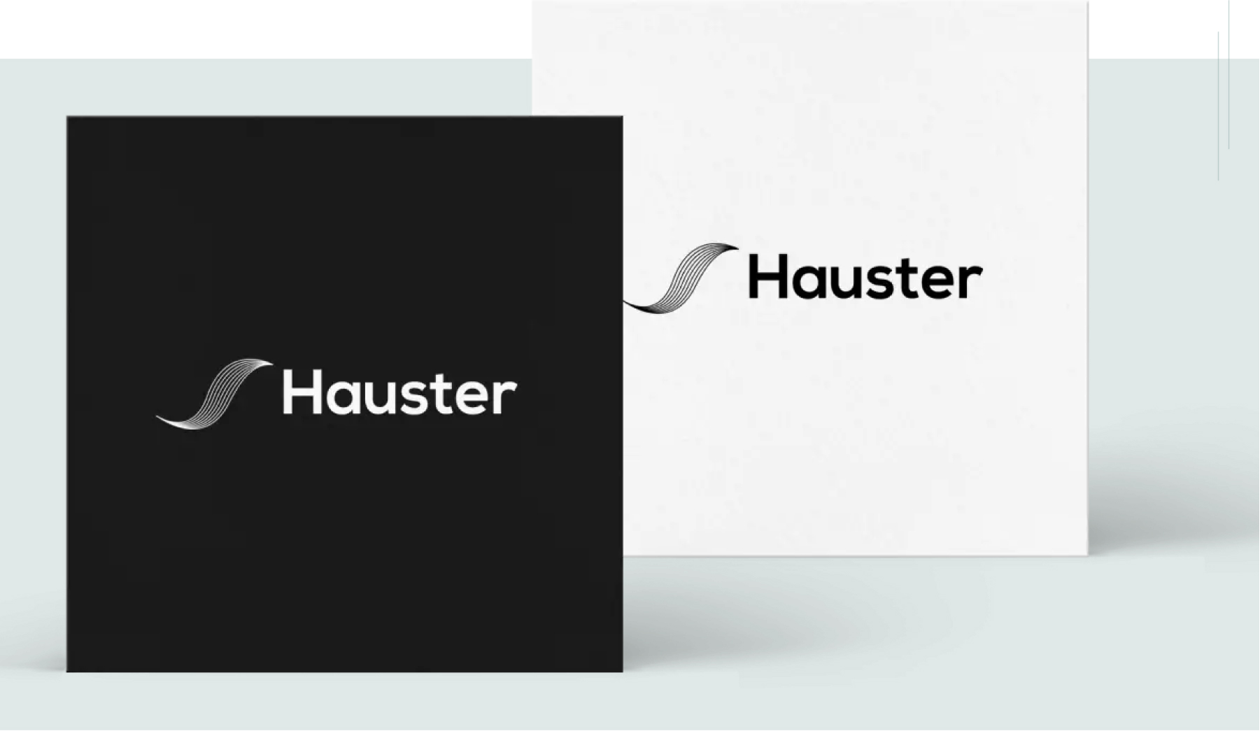 hauster-img-2